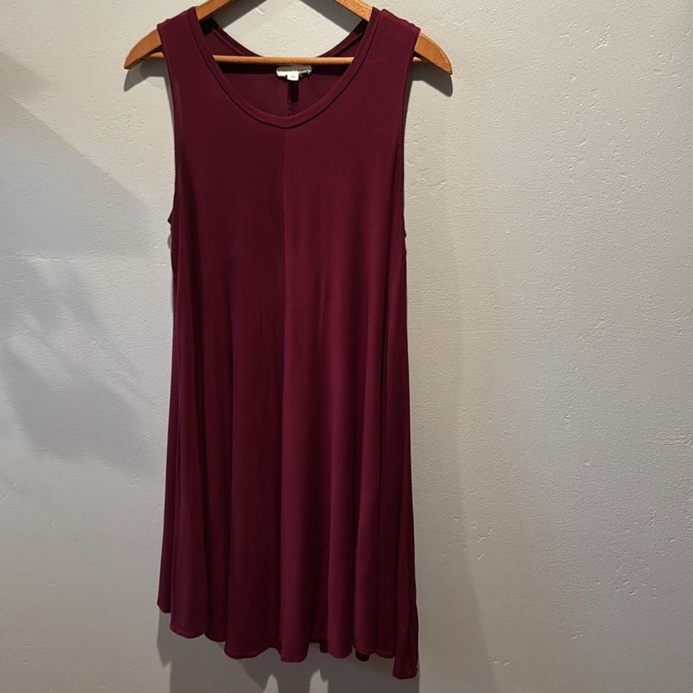 Silence + Noise Swingy Tank Dress Deep Red Burgundy Semi Sheer Flowy Mini Dress - Picture 4 of 15